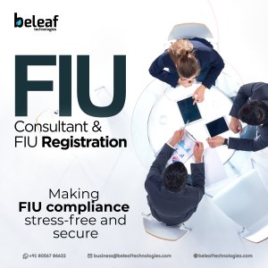 FIU Consultant